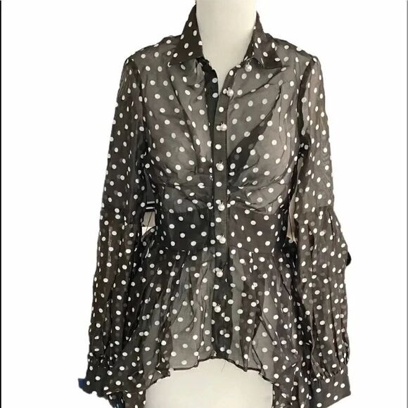 GLORY ON DISPLAY BLOUSE - Picture 1 of 9